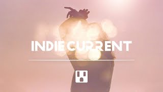 PLGRMS - "Fools And Their Gold"