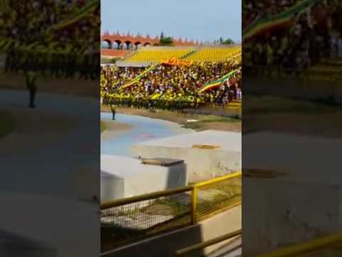 REBELIÓN AURIVERDE NORTE -  CANTO CON VERSIÓN DESPACITO - REAL CARTAGENA