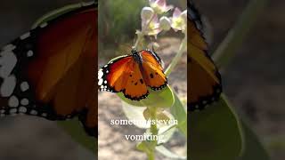 Download lagu How Monarch Butterflies Turn Poison Into Power #butterflyfacts#funfacts mp3