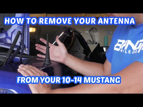 HOW TO REMOVE YOUR ANTENNA ON YOUR 10-14 MUSTANG S197