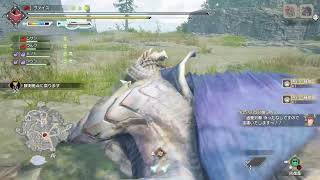 PS5　モンスターハンターサンライズ