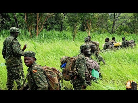 Ex-C.A.R rebel leader to appear before ICC for war crimes