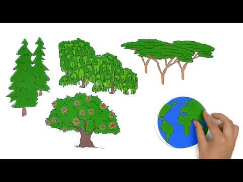 IUFRO - Interconnecting Forests, Science and People