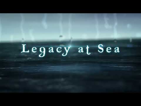 Overview of player actions