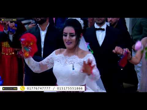 Xesan  - Sezgin Efshiyo - Hardam & Delvin - Part01 - Kurdische Hochzeit by Dilocan Pro