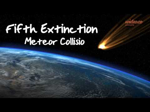 The sixth extinction