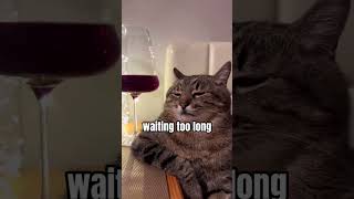 Download lagu Mistakes Every Cat Owner Should Know mp3