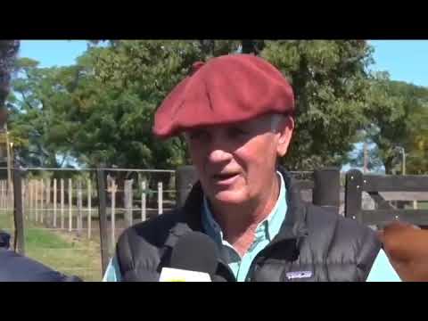 1° Jura Fenotípica de la 6ta Prueba Pastoril 2021 de Angus Litoral.