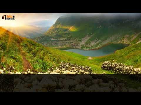 LUTJA PËR LARGIMIN E SHQETËSIMIT DHE SHLYERJEN E BORXHIT   Shejh Feuzani