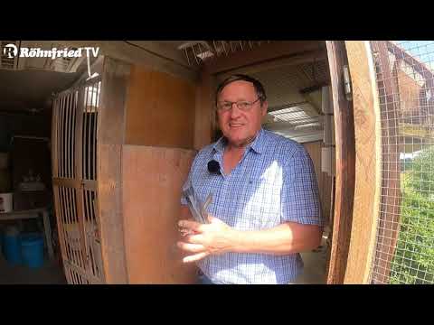 Inside Röhnfried - Folge 3 - Georg Fröhlingsdorf (Brietauben)