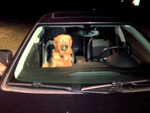 Mutabaruka - Rememberance