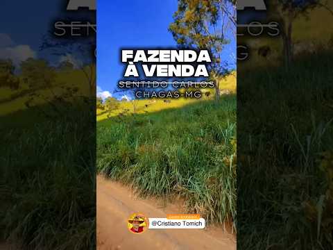 FAZENDA 200 ALQUEIRES CARLOS CHAGAS-MG R$ 24 MILHÕES