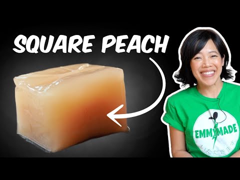 Tasting The Magical Japanese Jelly