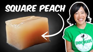 Tasting The Magical Japanese Jelly