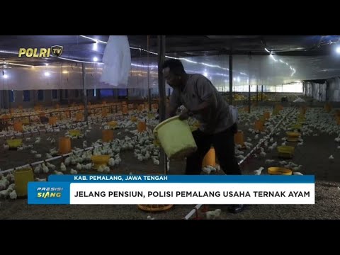 POLISI PEMALANG BERDAYAKAN WARGA MELALUI USAHA TERNAK AYAM