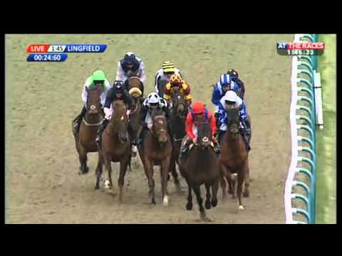 Lightscameraction - Unibet Hever Sprint Stakes (Fast-Track Qualifier) - 2016
