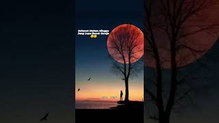 Download lagu Selamat Malam Minggu 🖤🌚 mp3