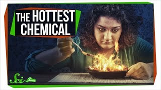 What's the Hottest Chemical in the World?