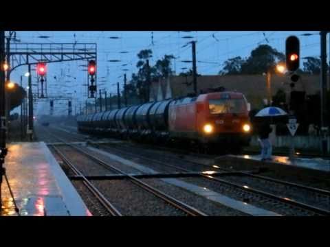 Comboio Especial n.º 95251/0 - Poceirão