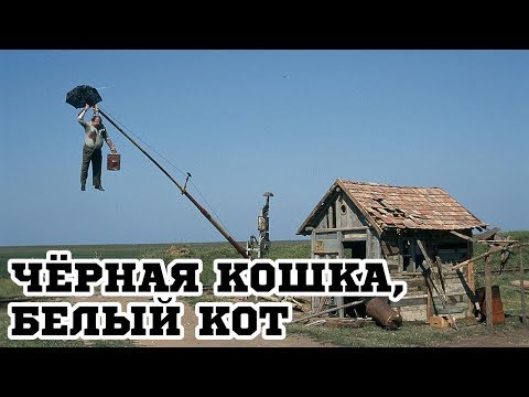 Трейлеры Чёрная кошка, белый кот