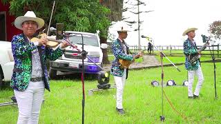 Download lagu FRUTA MADURA, LEYENDA IMPERIAL (SESION EN VIVO) DAR. mp3