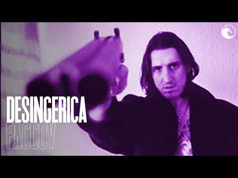 😈 Desingerica x Pljugica SELJACKI DRILL type beat 2024 | PACCOV |
