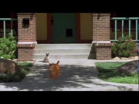 Garfield/Dark Knight Mashup Trailer