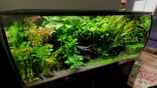 All Aquarium Update April 2021