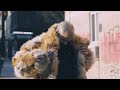 KDM Shey x Kiid Cody - Neu verliebt (Shot by Razzie) Official 4K Video
