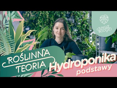 , title : 'HYDROPONIKA - jak zacząć? | Podstawy uprawy hydroponicznej roślin w domu'