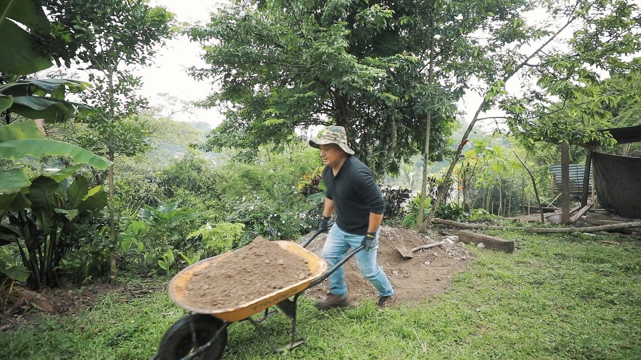 Haciendo trabajos de jardinería en el patio