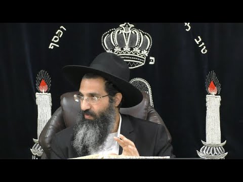 הלכות תערובות - יד' - שלא לאפות היתר ואיסור בתנור אחד 🍰 יורה דעה - סימן קח | חלק 56 | הרב שי עובד