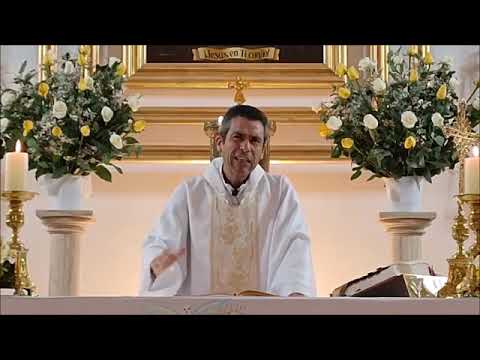 Homily 04/01/23 - John 1, 35-42 - The first disciples.