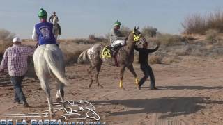 EL ANTRAX VS EL APPALOOSA 300 YDS