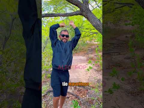 Cachoeira da Campeira em Alto Longa no Piauí #piauiense