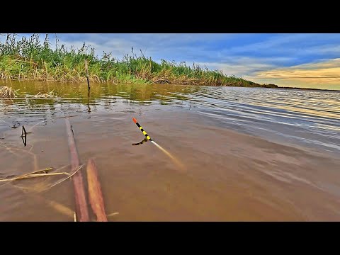 Pescuit la pluta spectacol de toamna