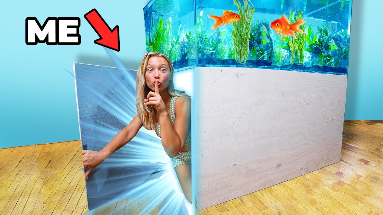 I Built a Secret Room in a Fish Tank