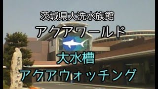 【アクアワールド】大水槽～アクアウォッチング～【大洗水族館】