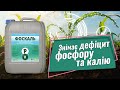 ФОСКАЛЬ - рідке добриво з високим вмістом фосфору і калію