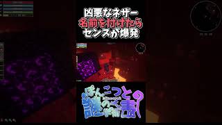【RPG×マイクラ】凶悪なネザーの名前は？【Craft to Exile 2】Minecraft mod【ゆっくり実況】 #マイクラ #mod #ゆっくり実況