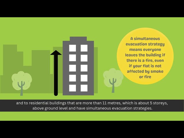 Blank placeholder image