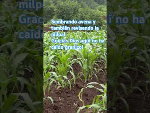 🇬🇹 Totonicapan, Momostenango!