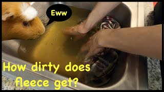 Washing guinea pig fleece in the sink | Cage cleaning routine