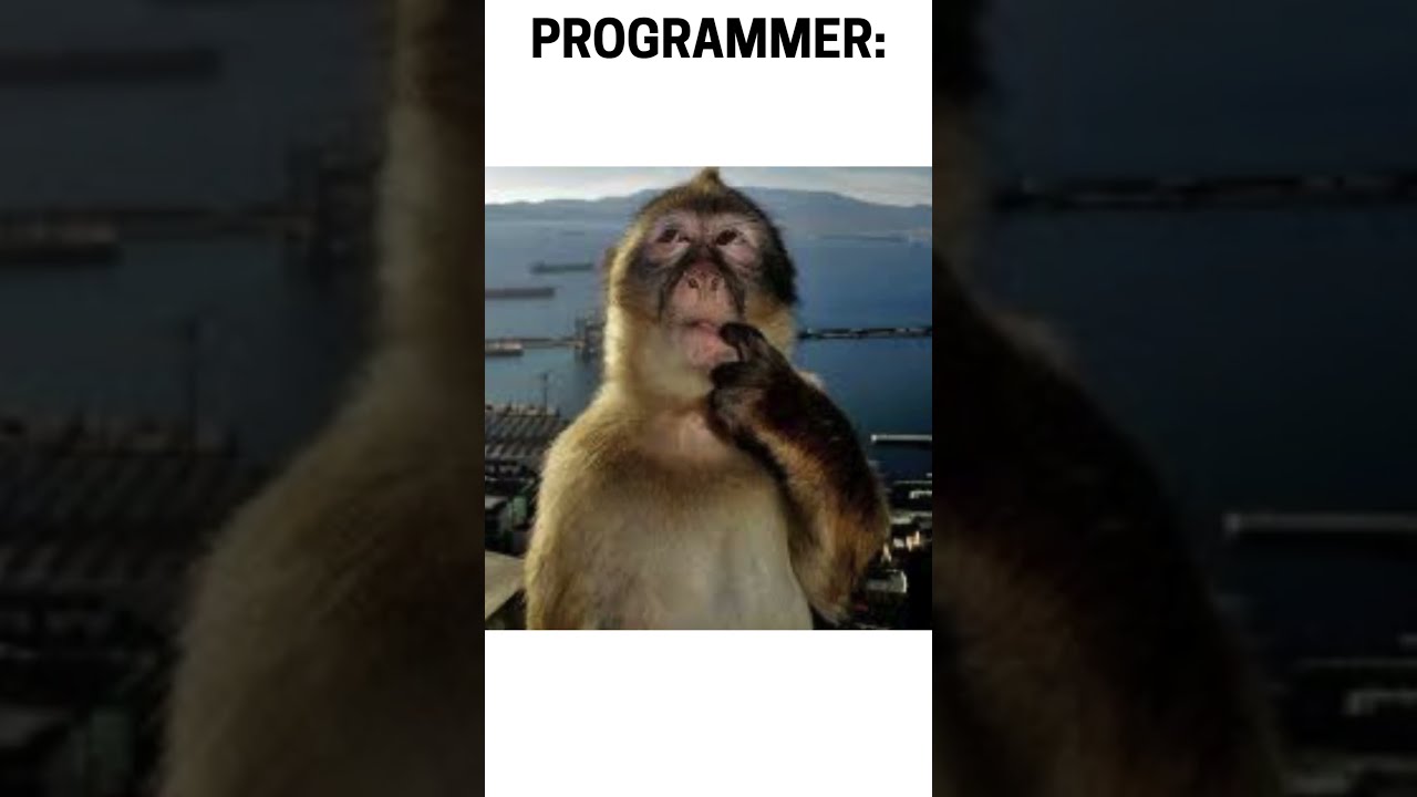 Programmer!? #windows #developer #coding #funny #memes