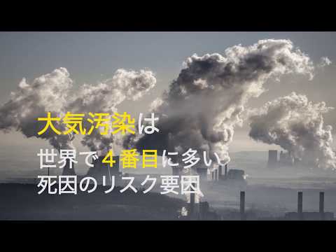 大気中の汚染物質:研究者らは「非常に急速な死亡要因」を特定