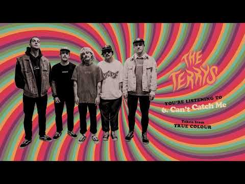 Cant Catch Me - The Terrys