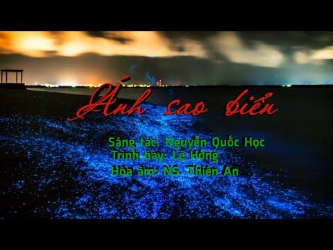 Ánh sao biển Sheet - Lệ Hồng