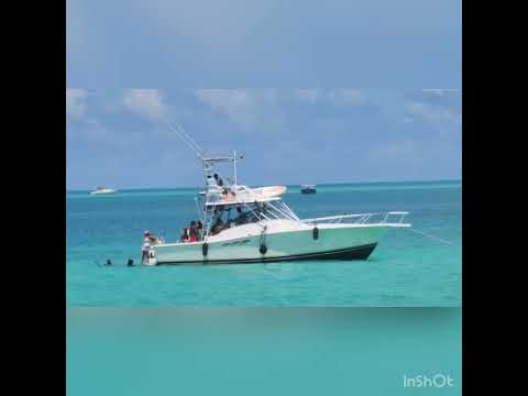 Around the Island 2022 (Shindig Racing)