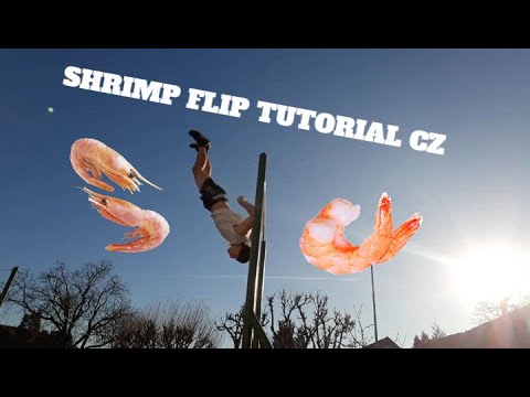 Shrimp flip tutorial CZ - Návod na shrimp flip