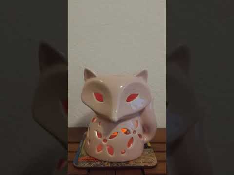 O stratenej ovečke a drachme- večerné zamyslenie